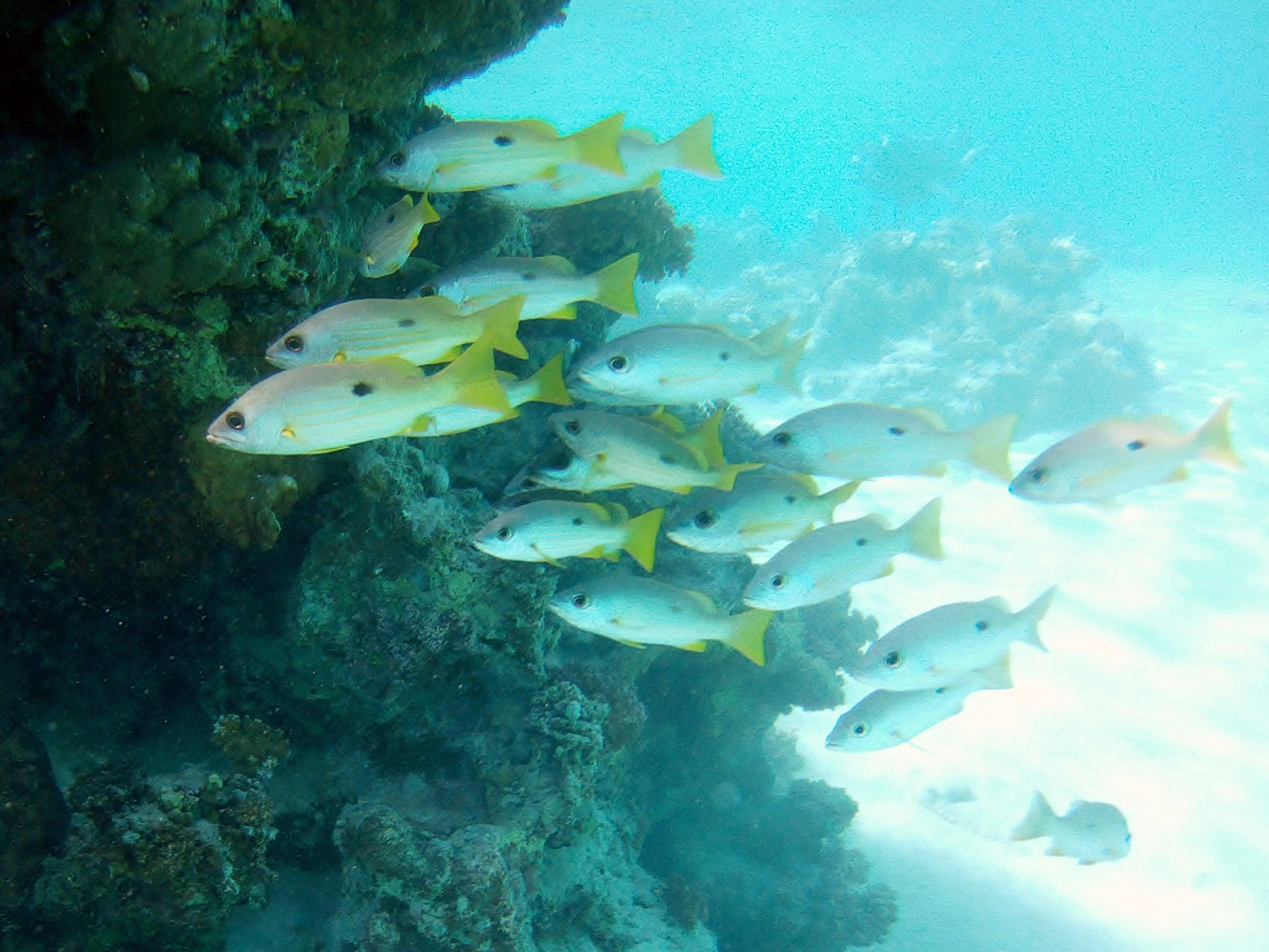 Marsa Alam, Egypt