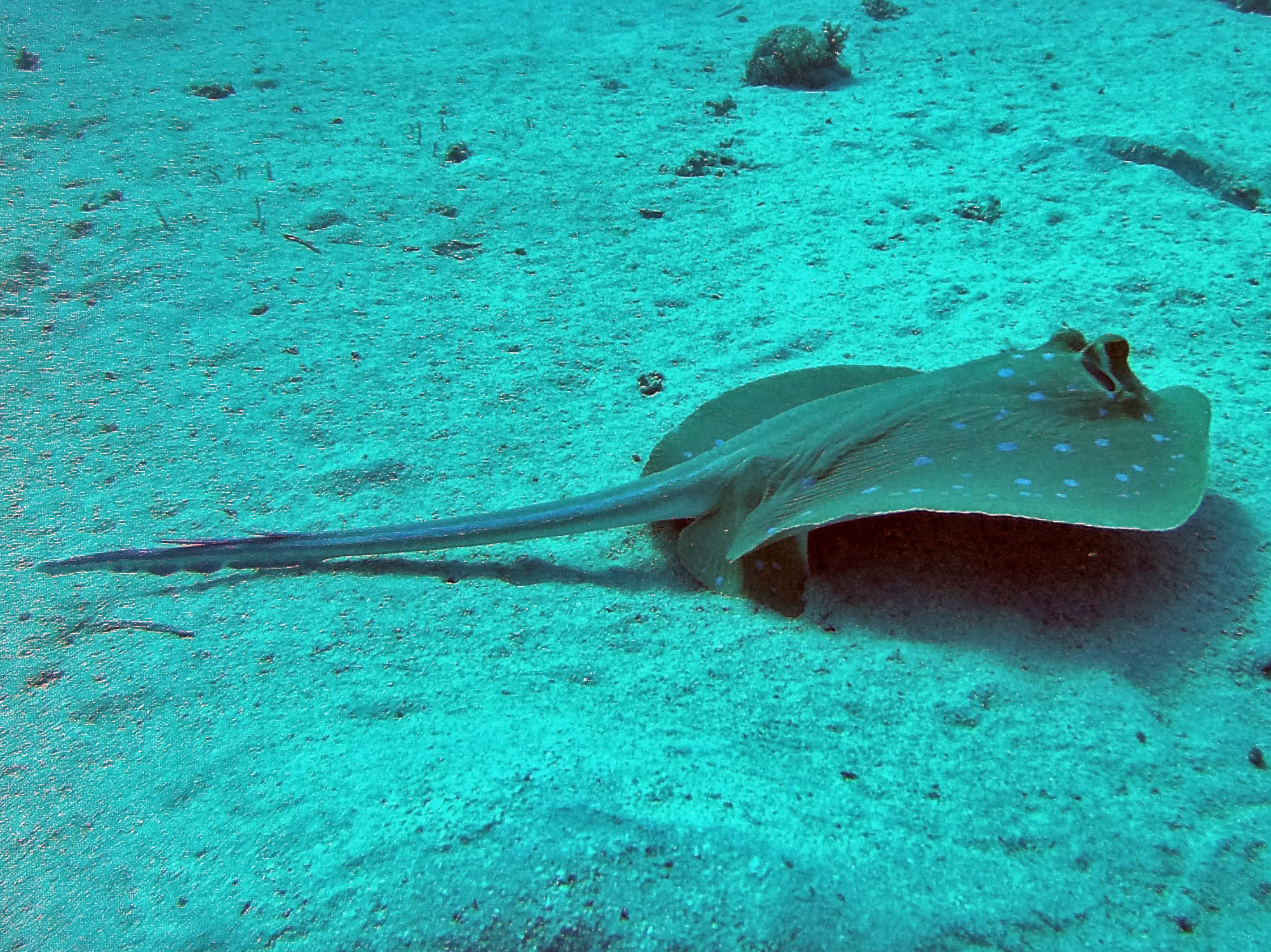 Marsa Alam, Egypt