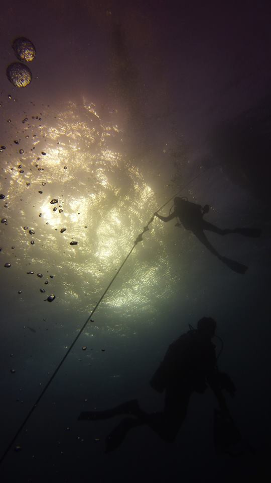 Thistlegorm Wreck, Египет