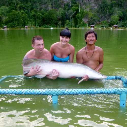 Some quite large fish caught