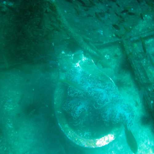 King Cruiser Wreck Dive Site, Thailand