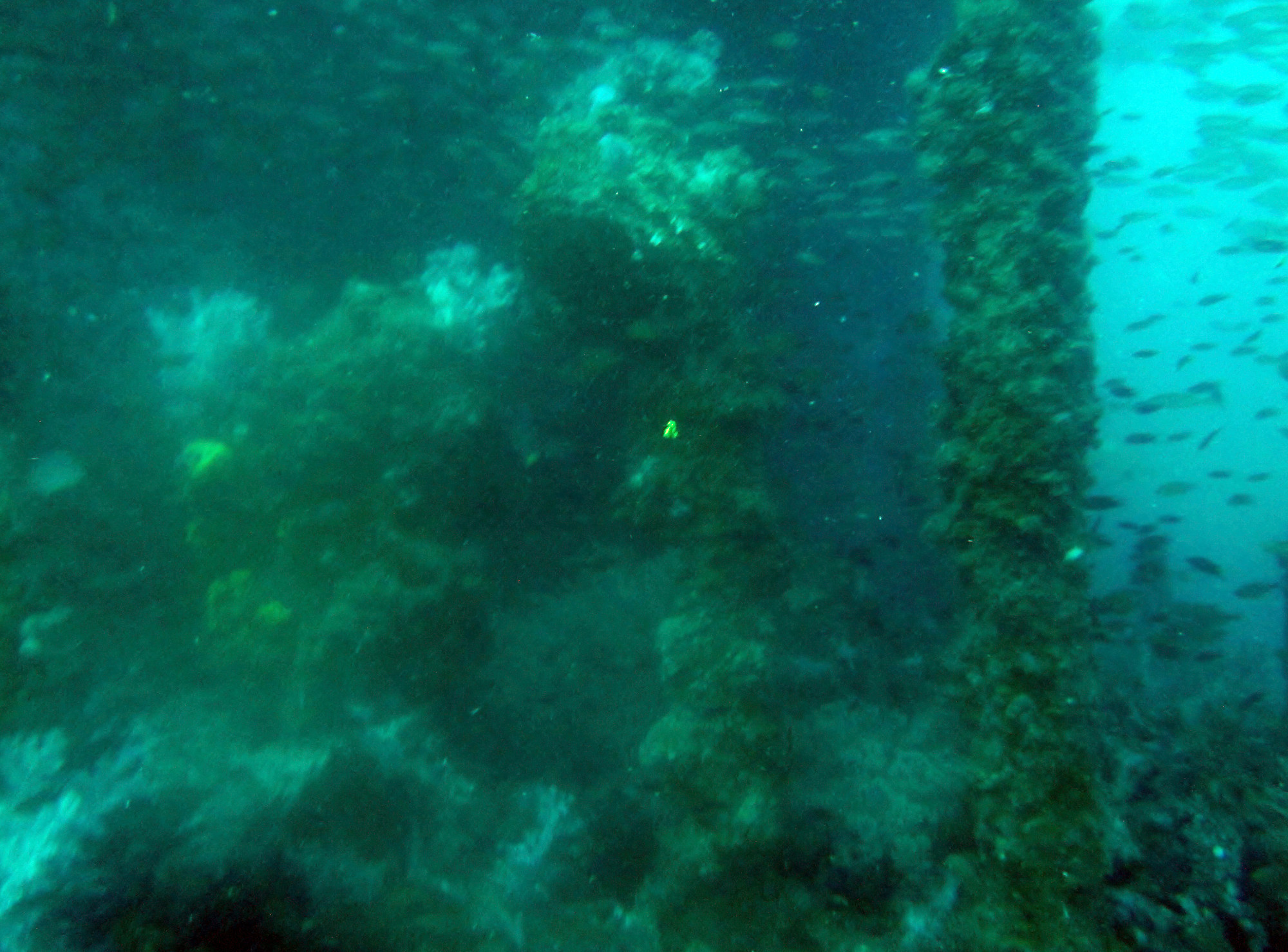 King Cruiser Wreck Dive Site, Thailand