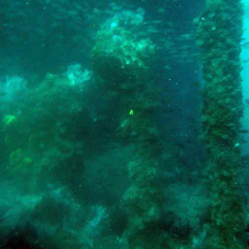 King Cruiser Wreck Dive Site, Thailand