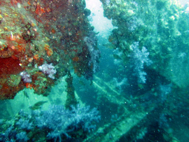 King Cruiser Wreck Dive Site, Thailand