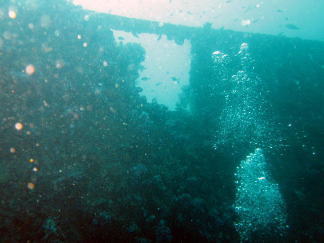 King Cruiser Wreck Dive Site, Thailand