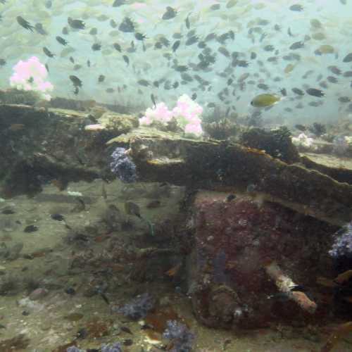 King Cruiser Wreck Dive Site, Thailand