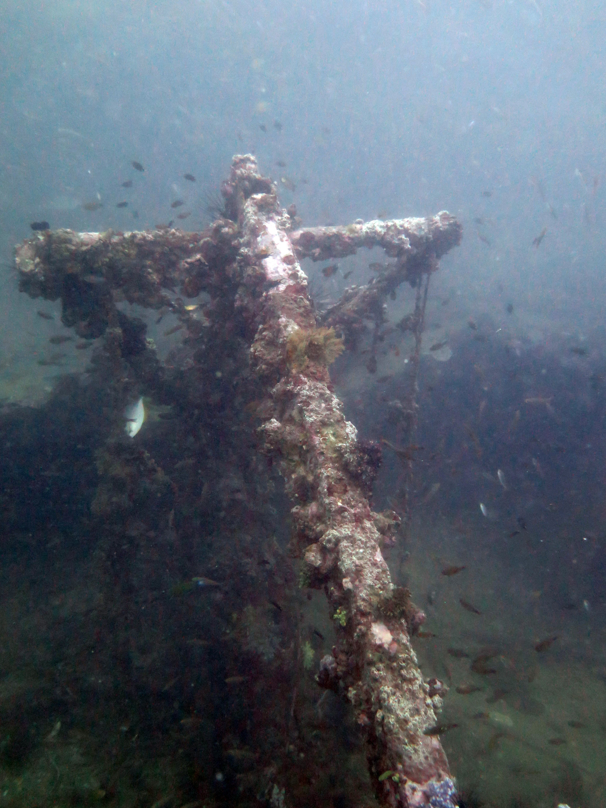 King Cruiser Wreck Dive Site, Thailand