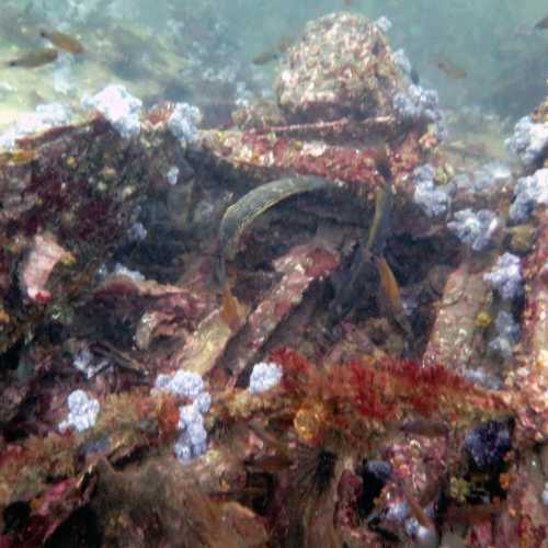 King Cruiser Wreck Dive Site, Thailand