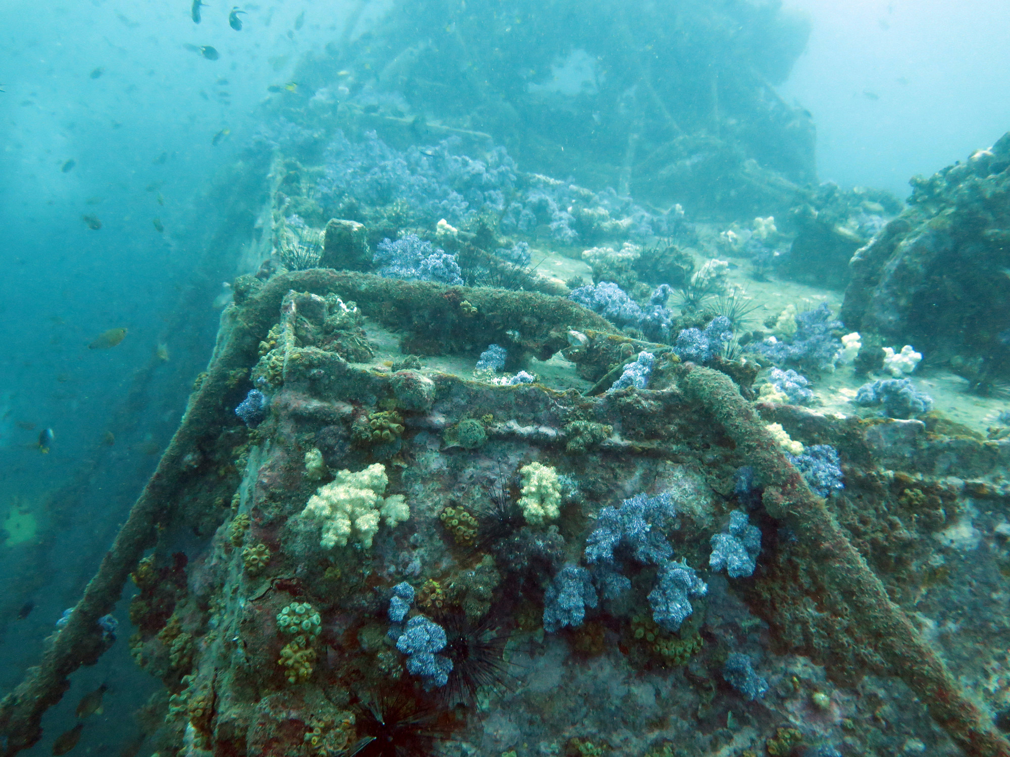 King Cruiser Wreck Dive Site, Таиланд