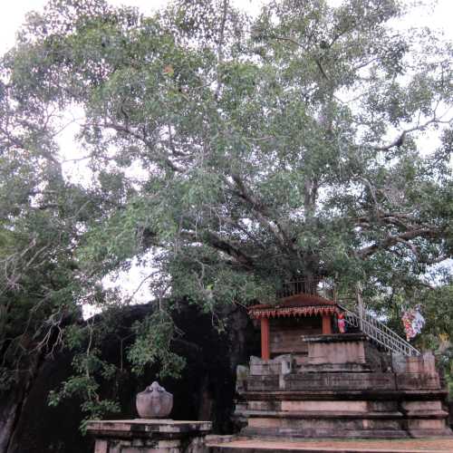 Isurumuniya Rajamaha Viharaya, Шри-Ланка
