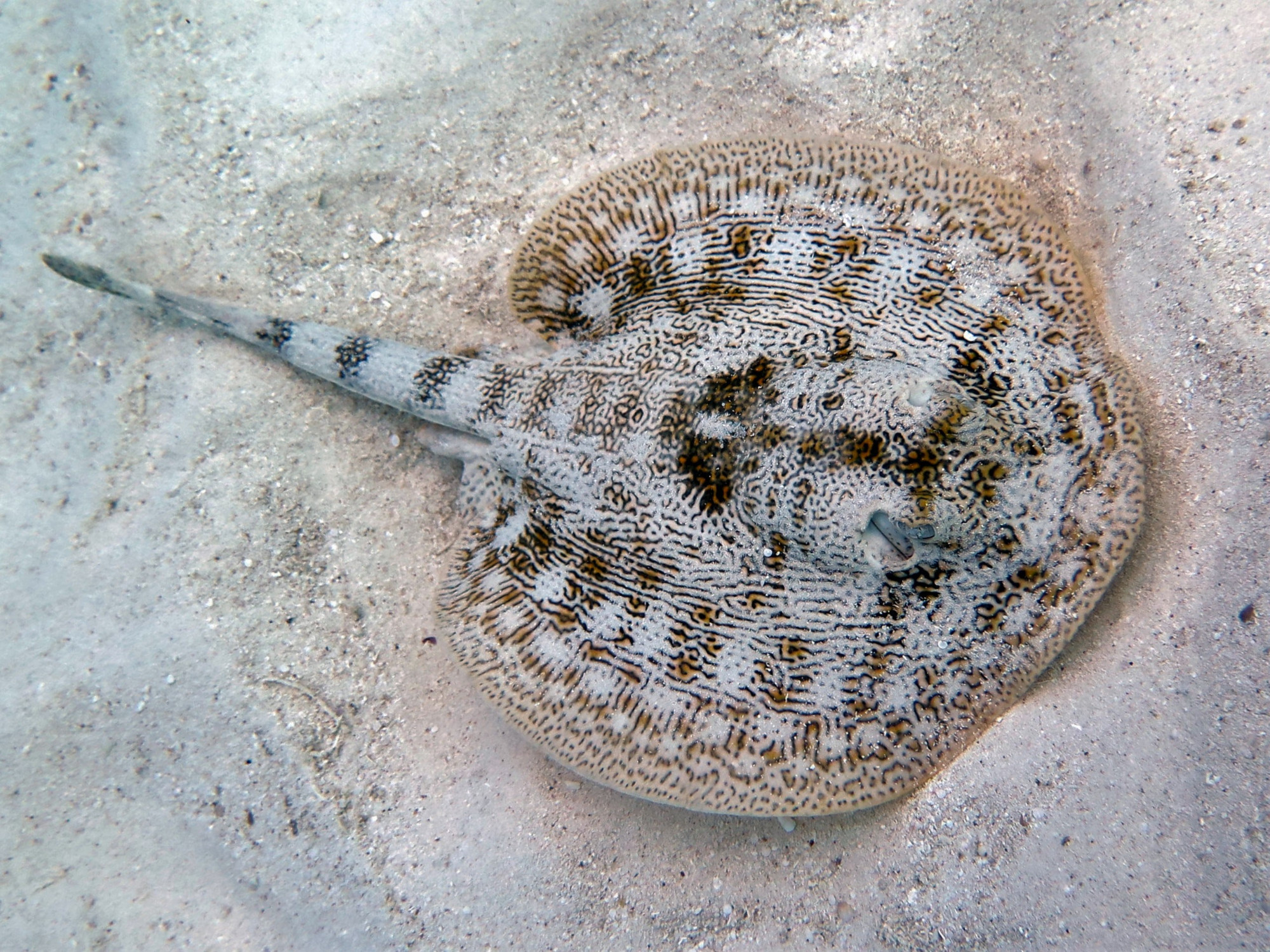 Playa del Carmen, Mexico