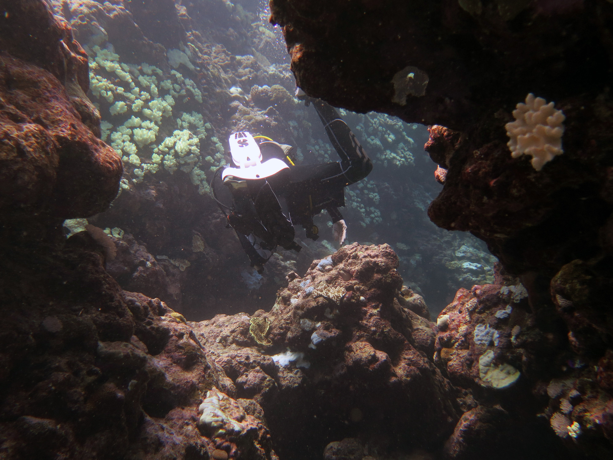 Half Way Caves Osprey Reef, Australia