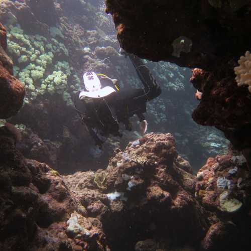 Half Way Caves Osprey Reef