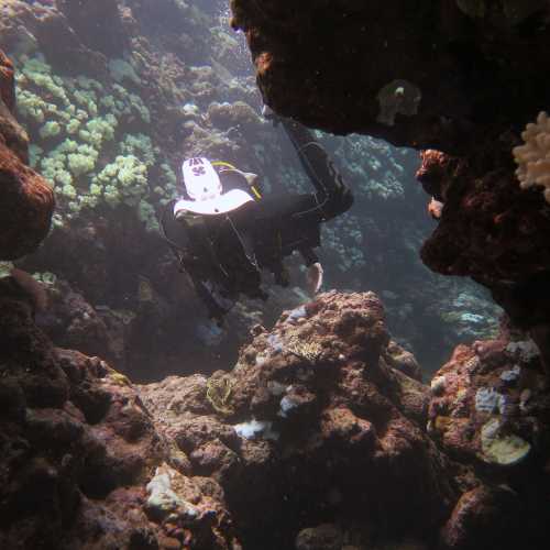 Half Way Caves Osprey Reef, Australia