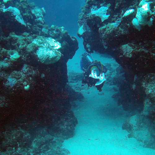 Half Way Caves Osprey Reef, Australia