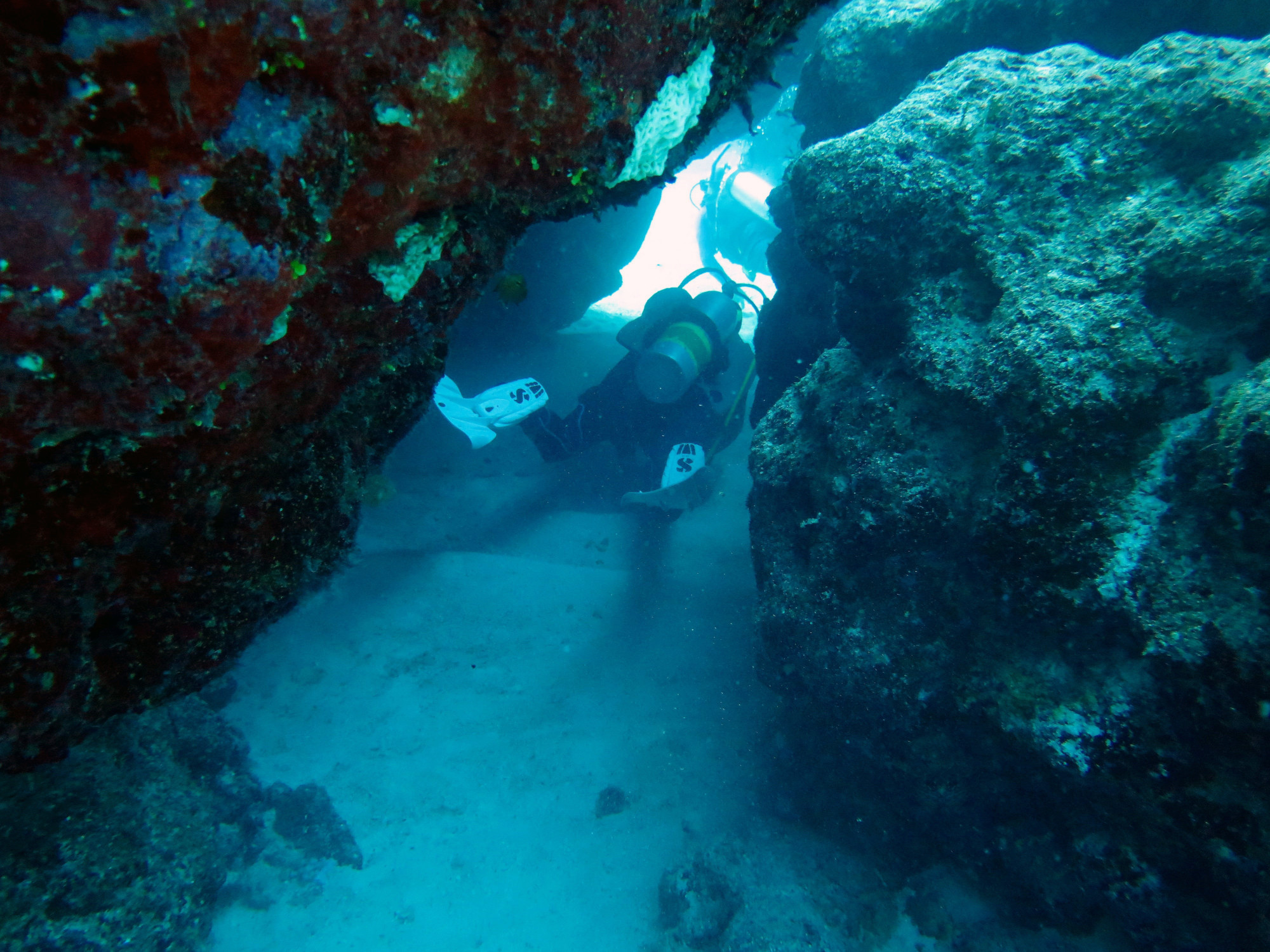 Half Way Caves Osprey Reef, Australia