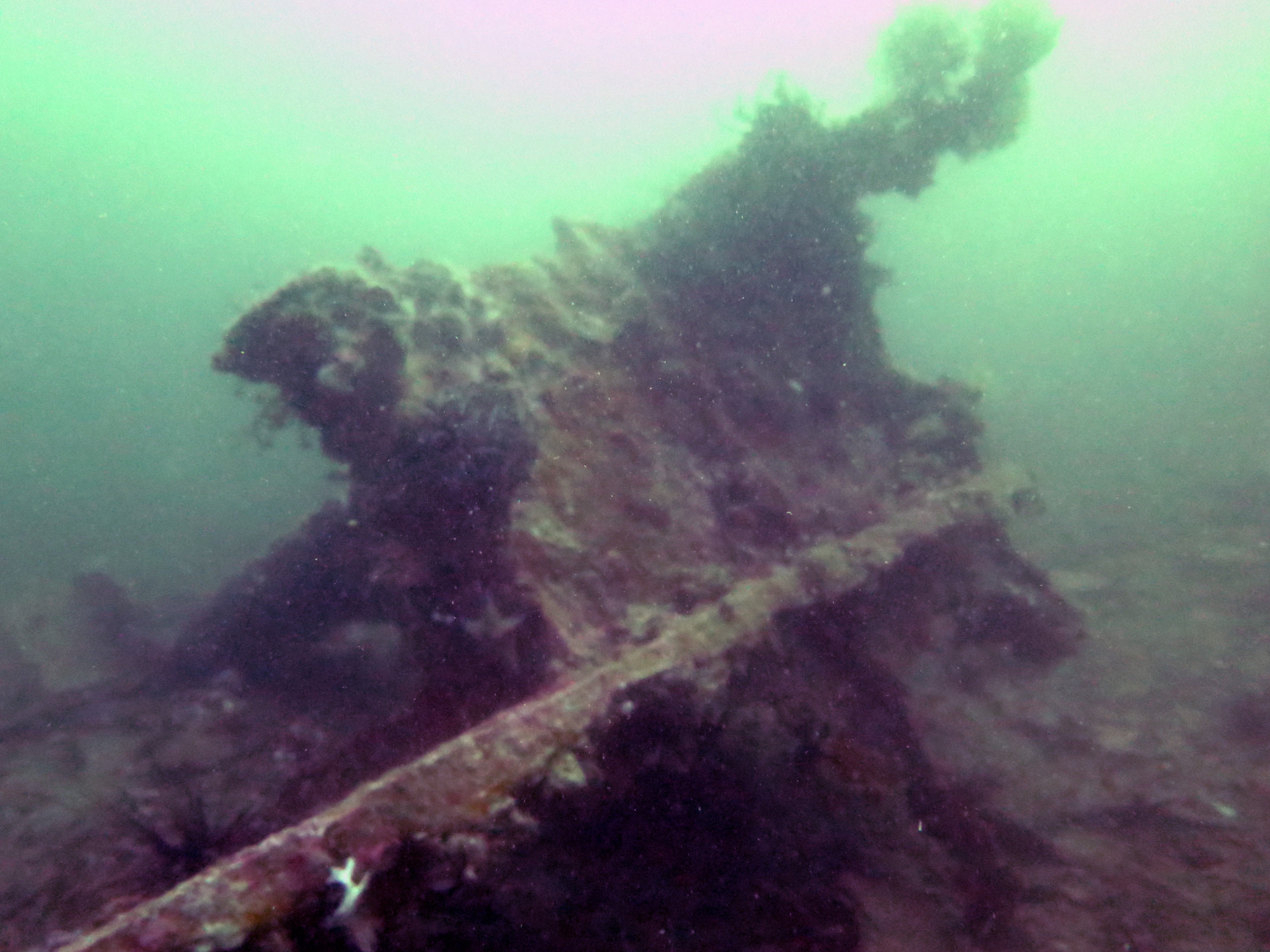 Tapilon ( Oakita Maru Dive Site, Филиппины