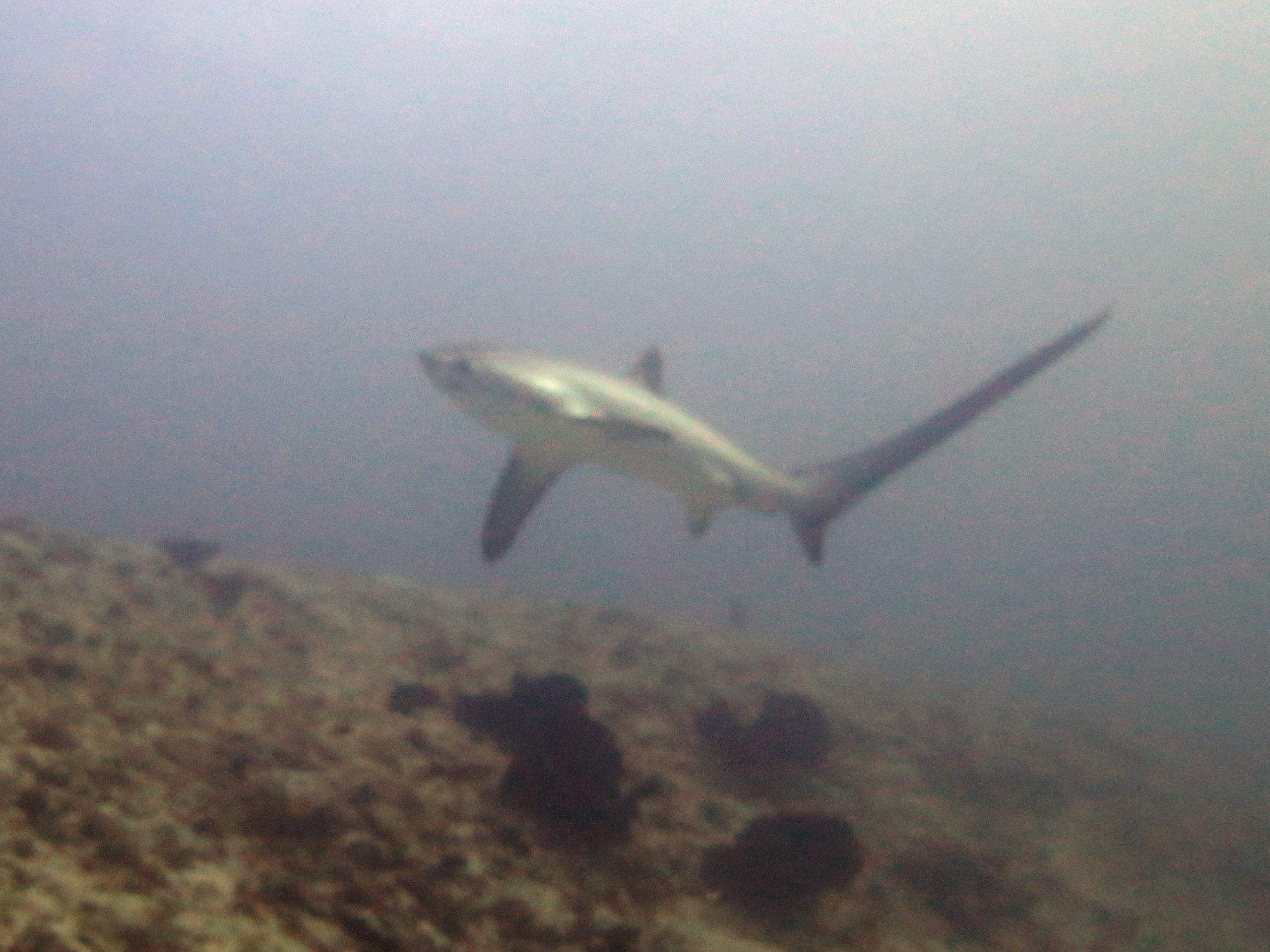 Monad Shoal, Philippines