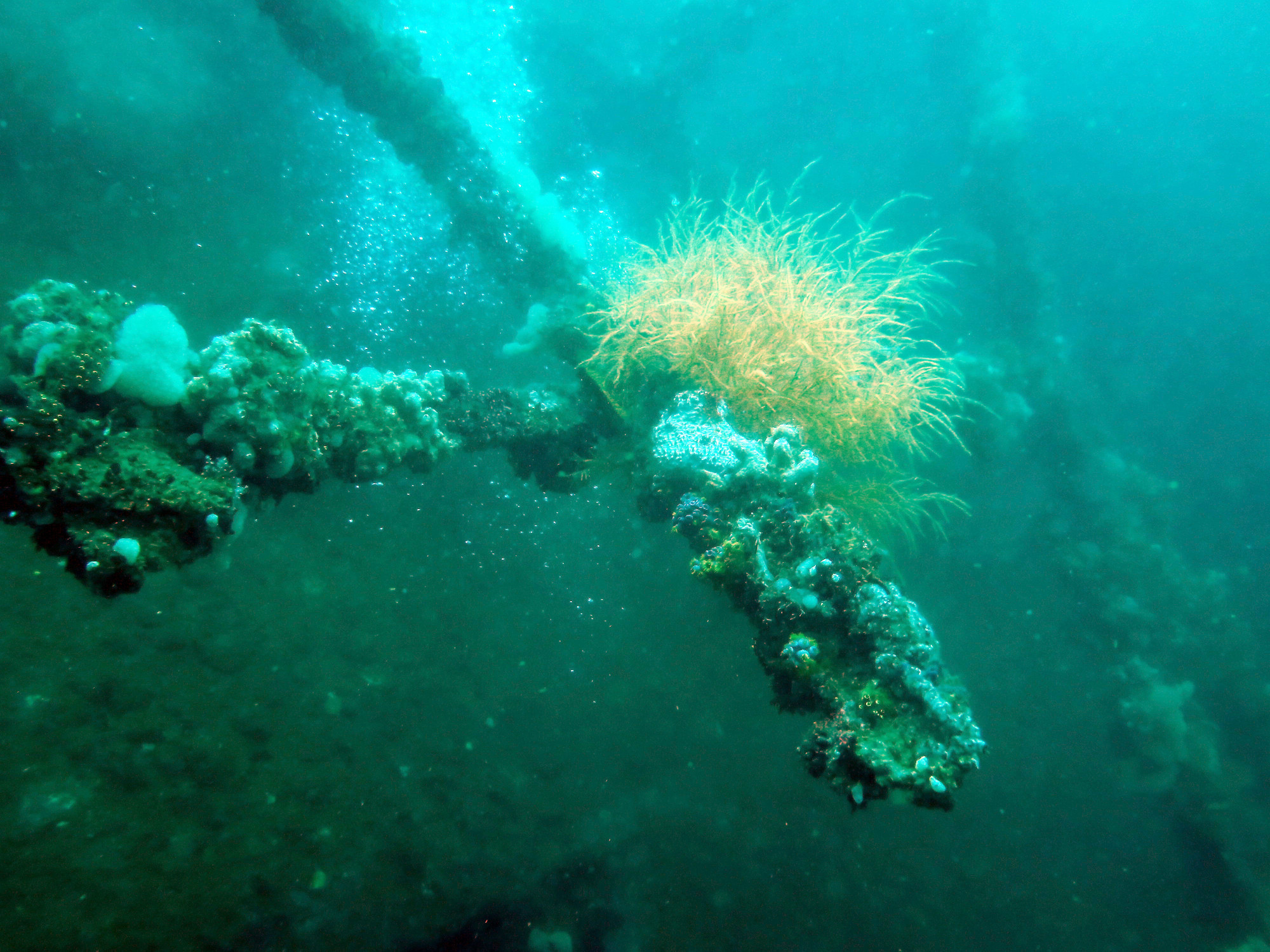 Dona Marilyn Wreck, Philippines