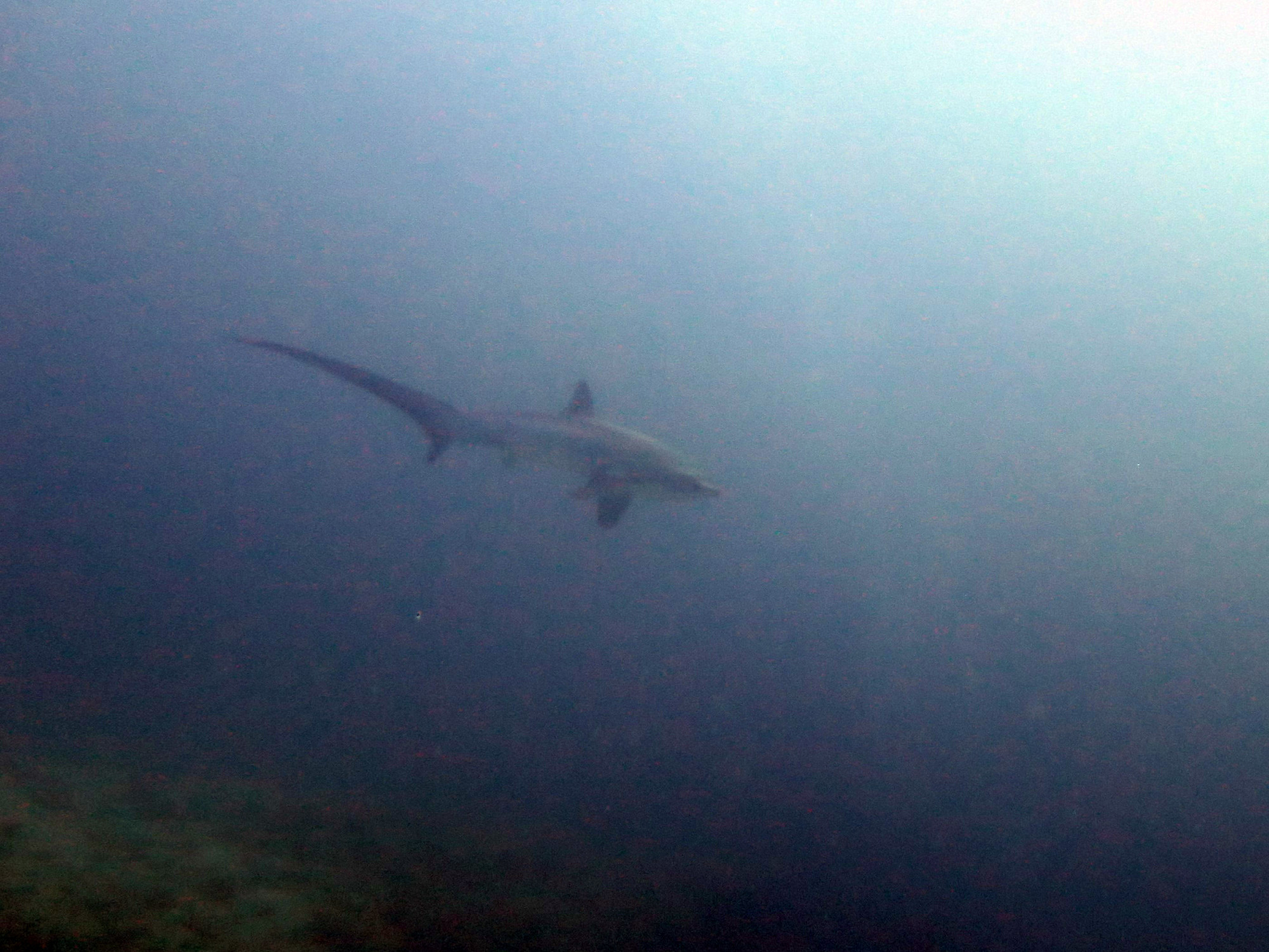 Monad Shoal, Philippines