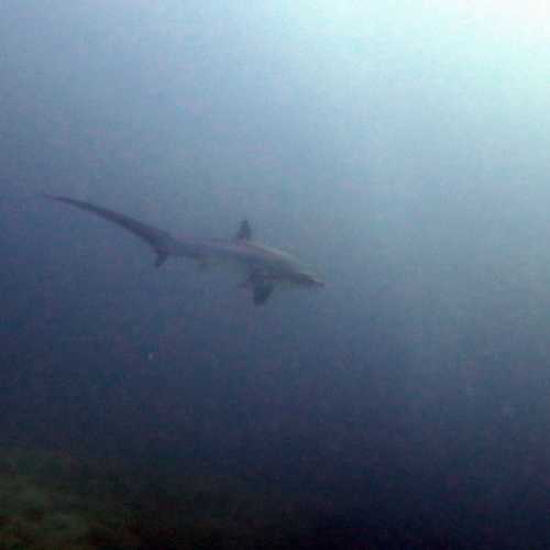 Monad Shoal, Philippines