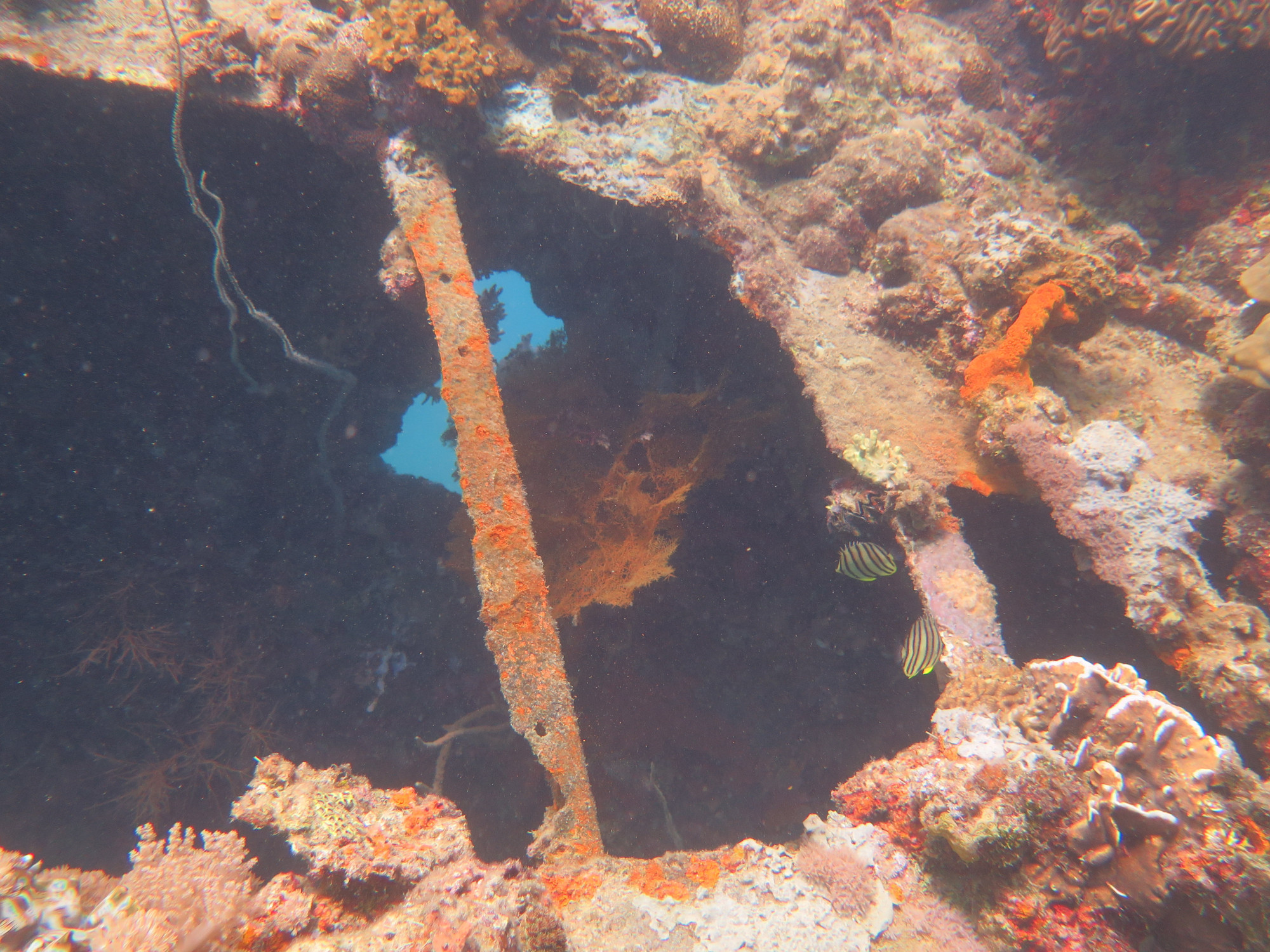 Lusong gunboat wreck, Филиппины