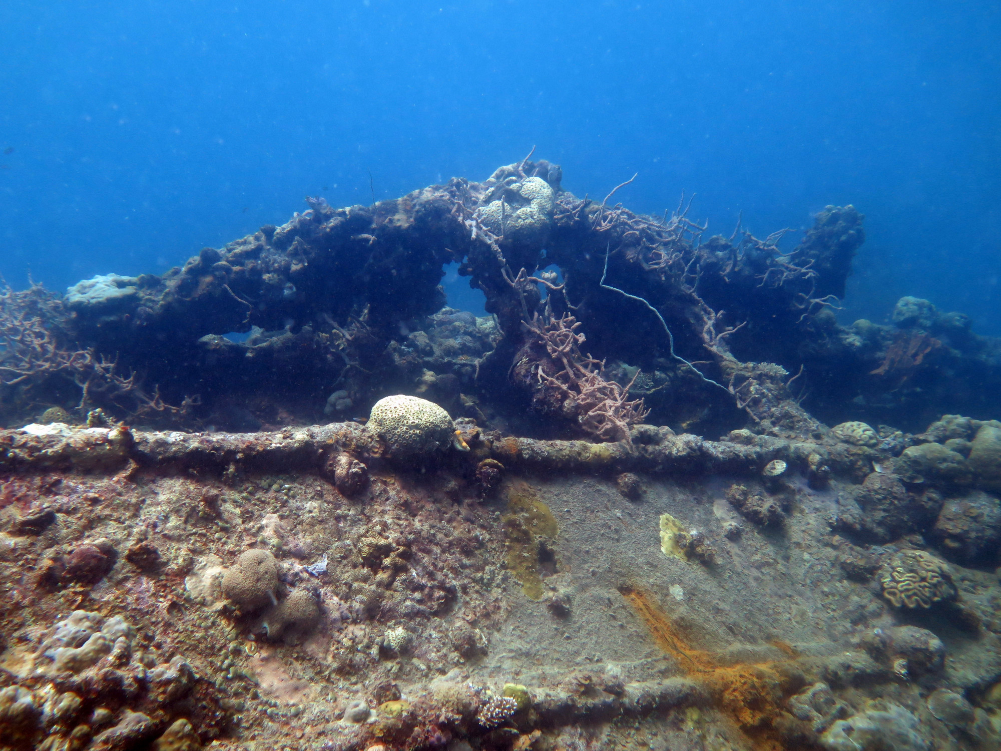 Coral Growth on Superstructure