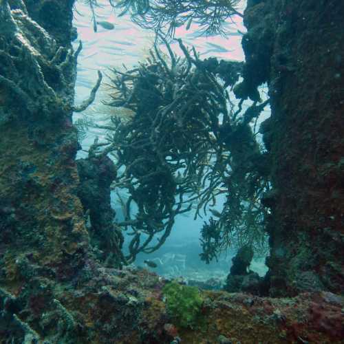 Olympia Maru Wreck, Филиппины