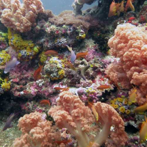 Pescador Island, Philippines