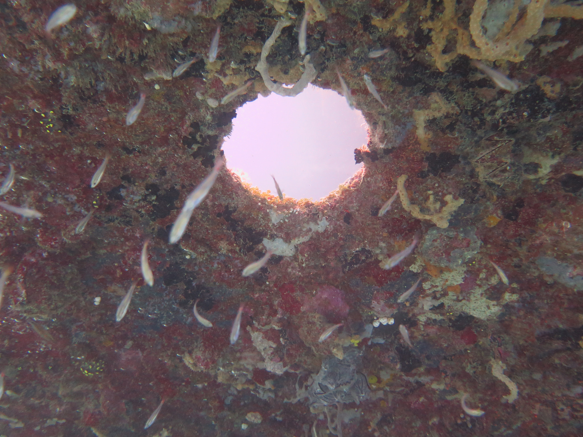 Lusong gunboat wreck, Philippines