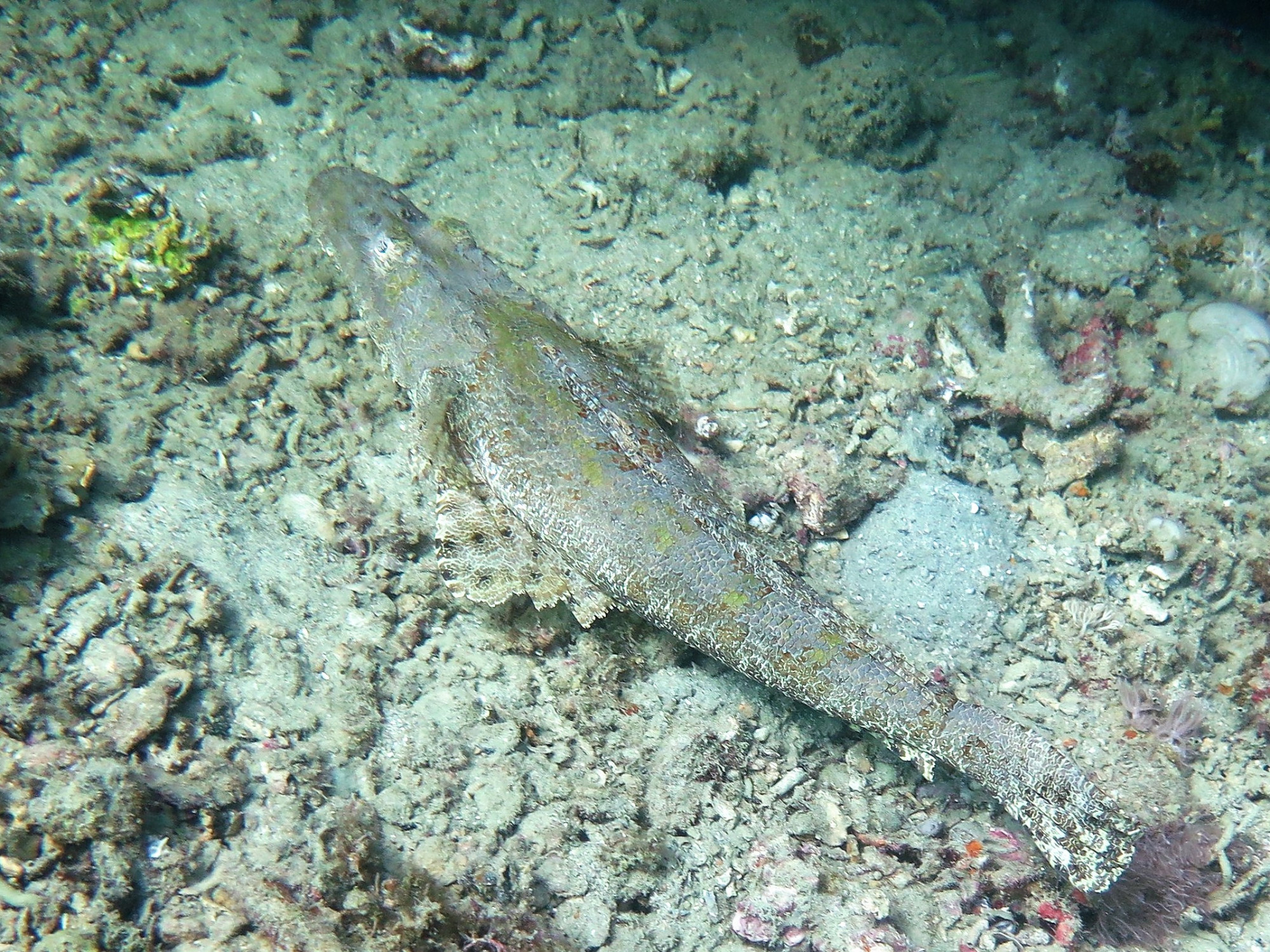 Lusong gunboat wreck, Филиппины