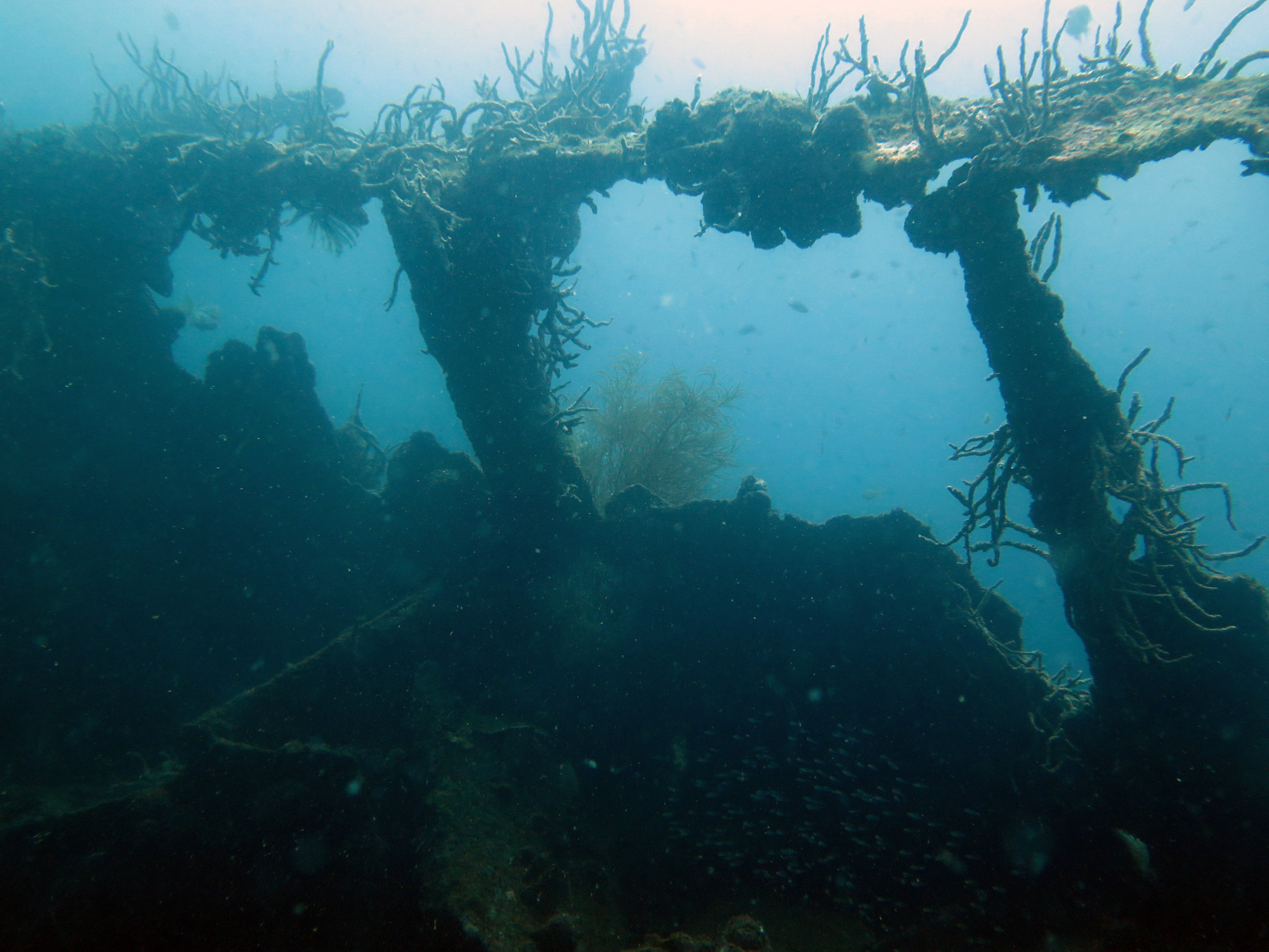 Coral Growth on Superstructure