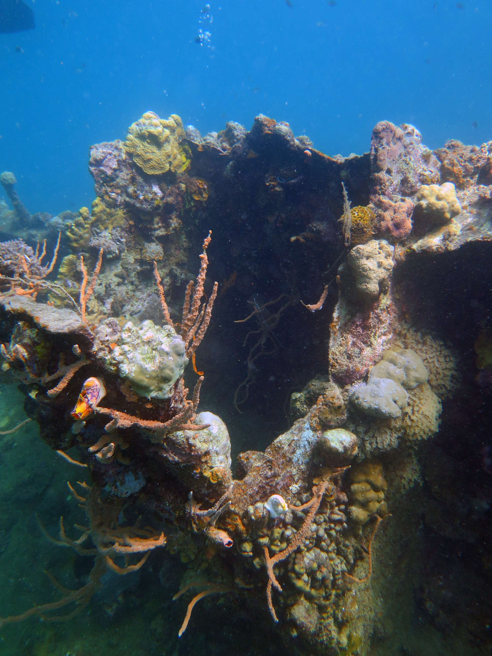 Taru Kaze Maru Wreck, Philippines