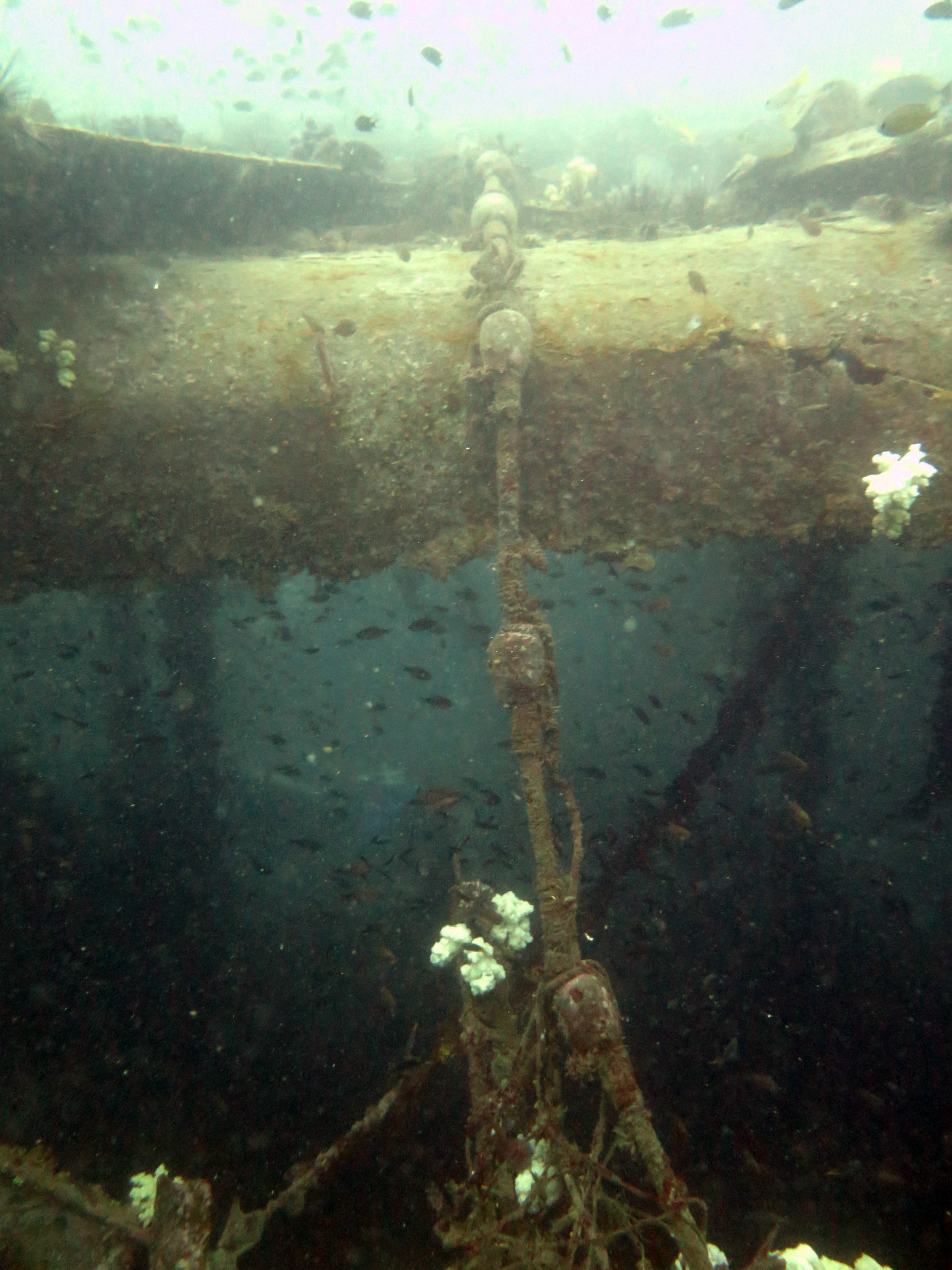 King Cruiser Wreck Dive Site, Thailand