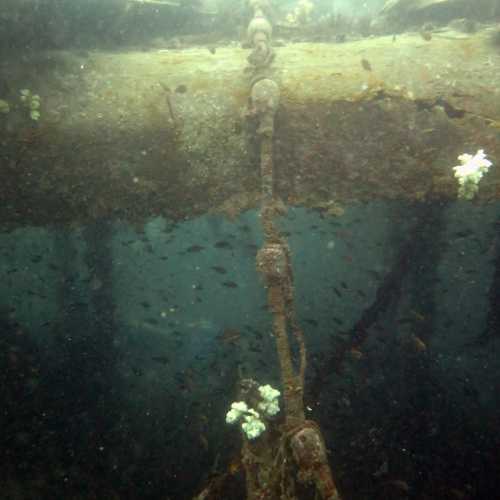 Coral covered Superstructure