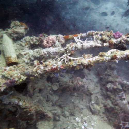 Coral Covered Superstructure