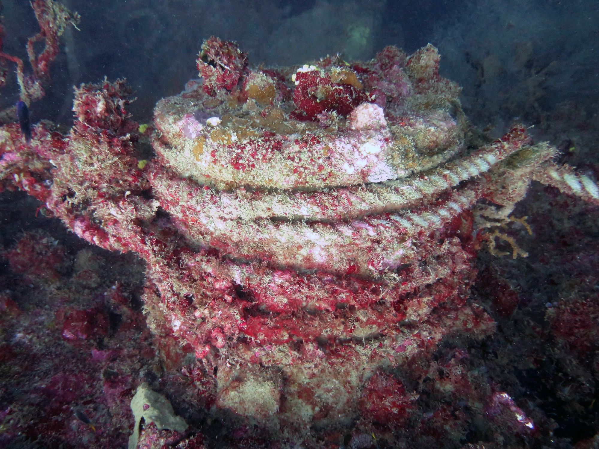 Akitsushima wreck - Navy seaplane tender - 118m (22 to 36m, Филиппины