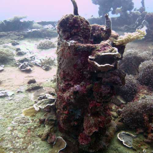 Coral covered Superstructure