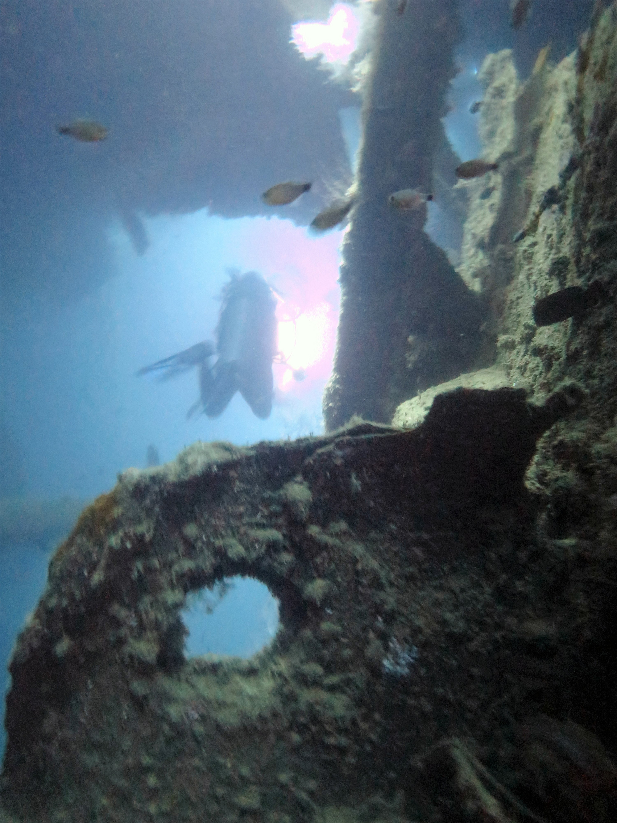 Akitsushima wreck - Navy seaplane tender - 118m (22 to 36m, Филиппины