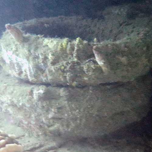 Olympia Maru Wreck, Philippines