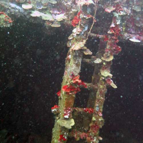 Coral covered Superstructure