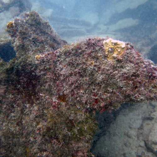 Sant' Anteo wreck Dive Site