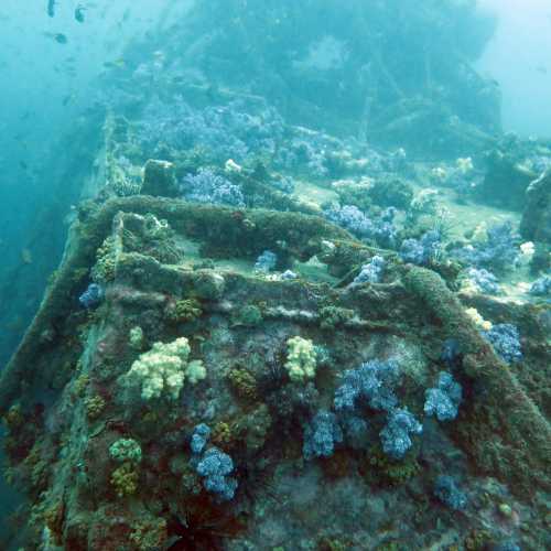 Coral covered Superstructure