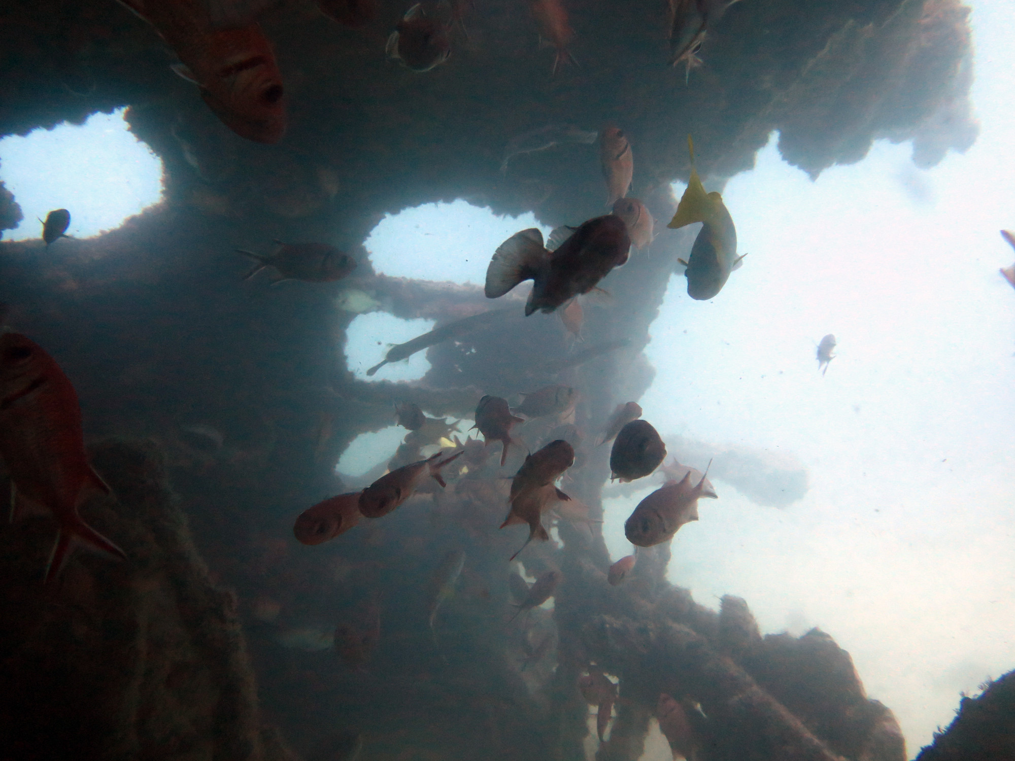 Sant' Anteo wreck Dive Site, Cape Verde