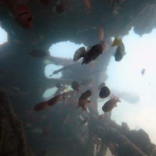 Sant' Anteo wreck Dive Site, Cape Verde
