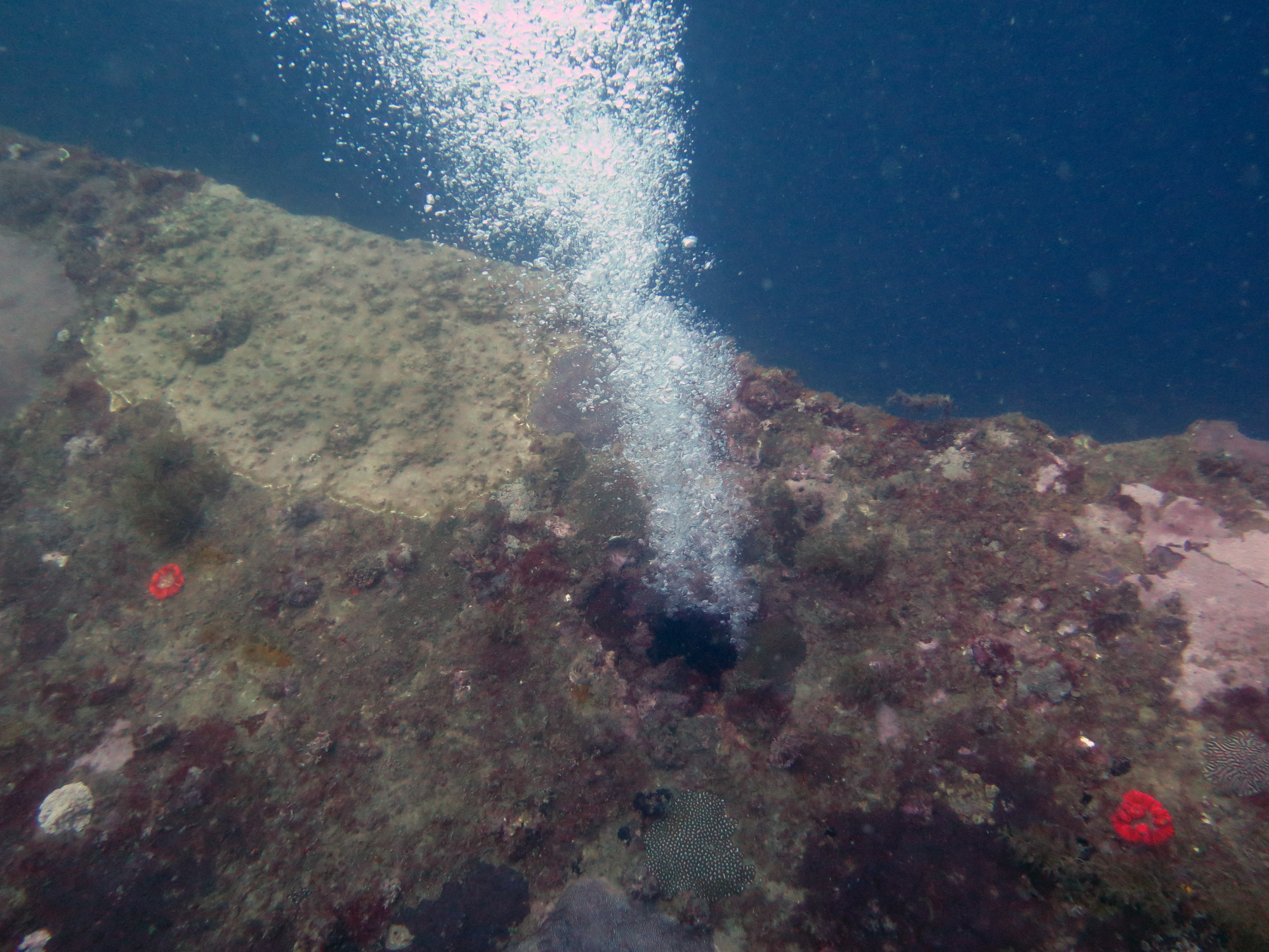 Akitsushima wreck - Navy seaplane tender - 118m (22 to 36m, Филиппины