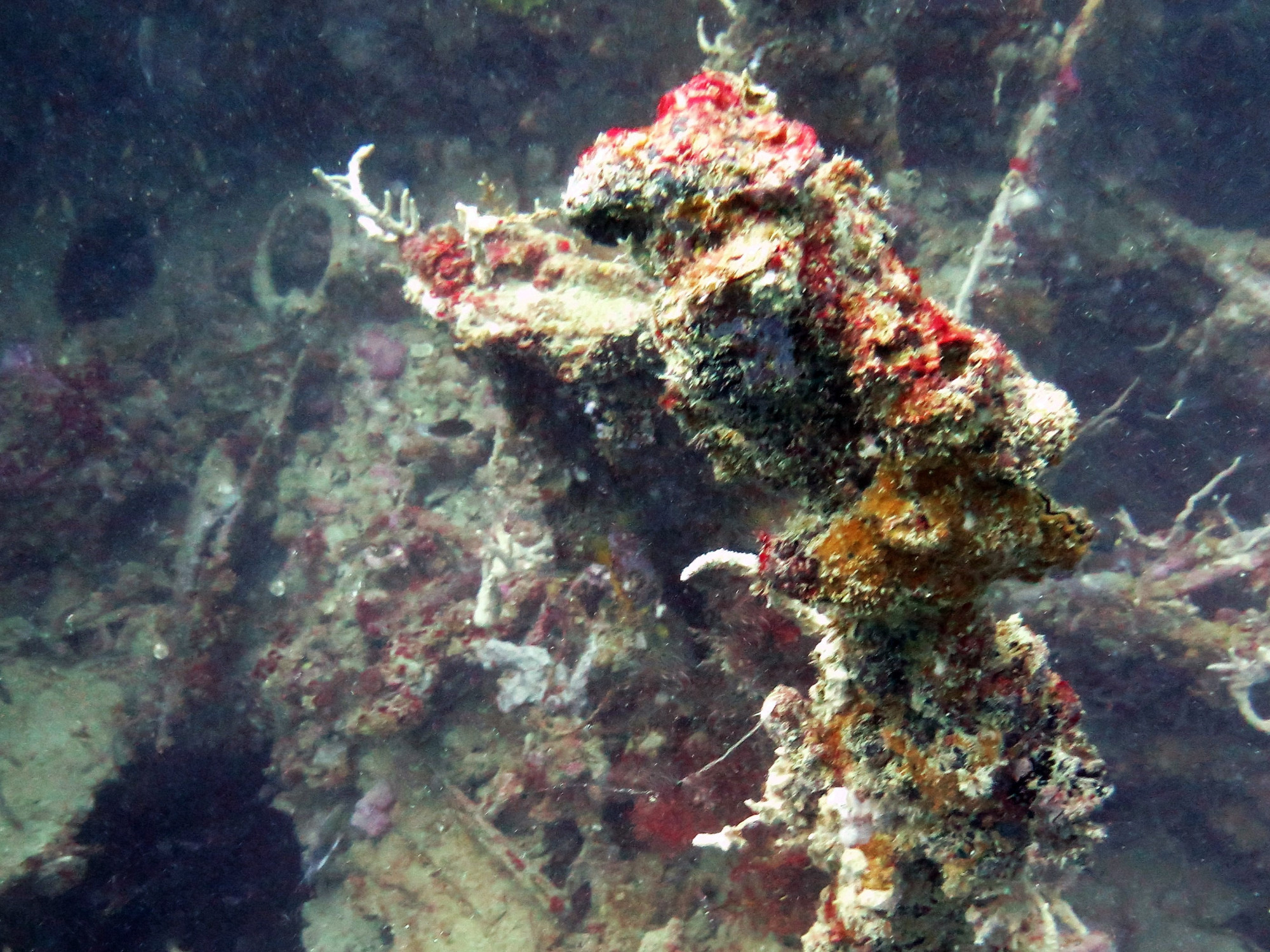 Akitsushima wreck - Navy seaplane tender - 118m (22 to 36m, Филиппины