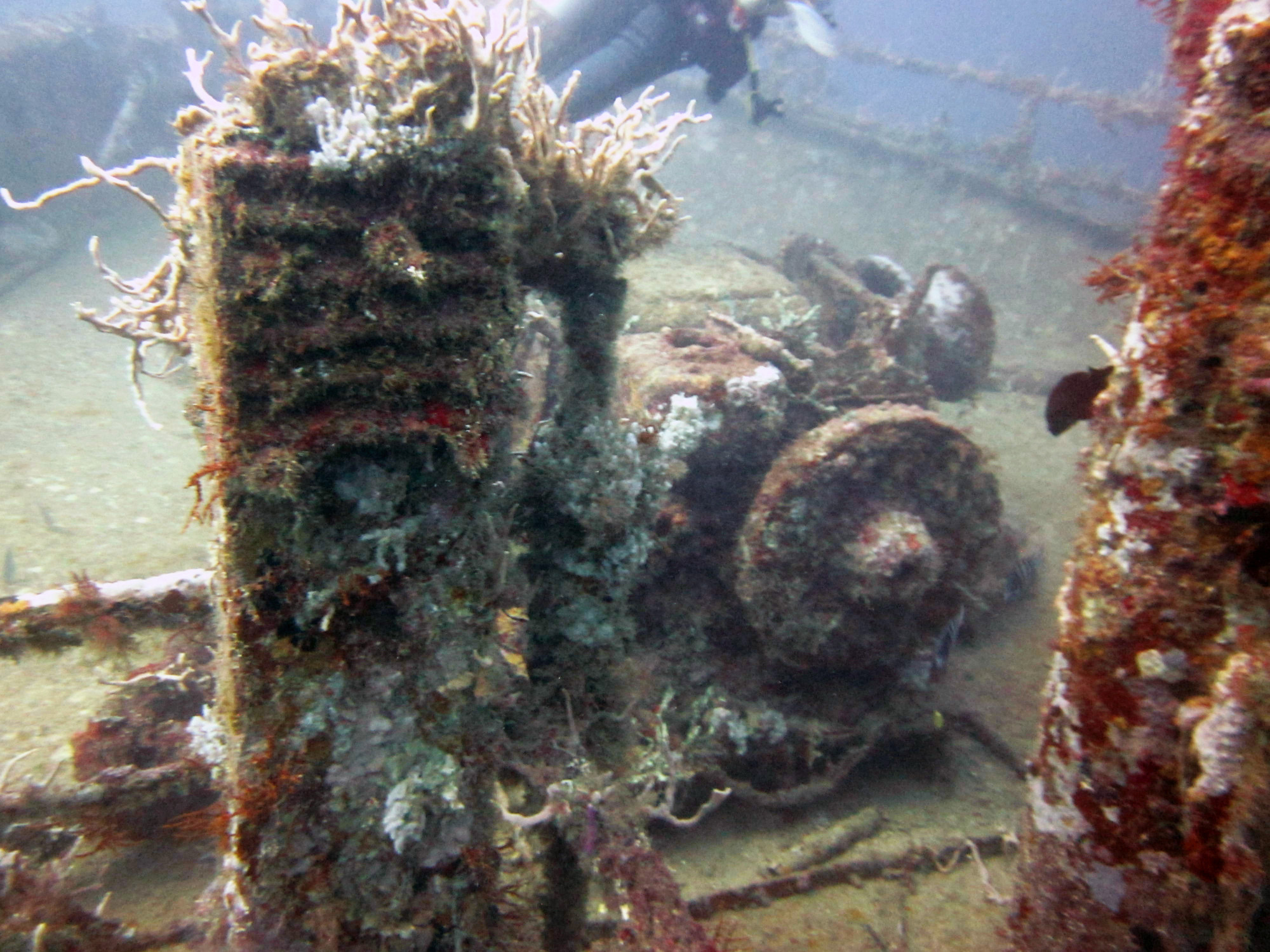 Shakem Wreck Dive Site, Гренада