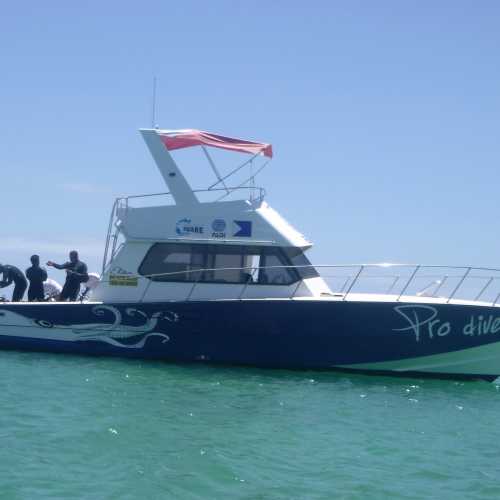 The Tube Dive Site, Mauritius