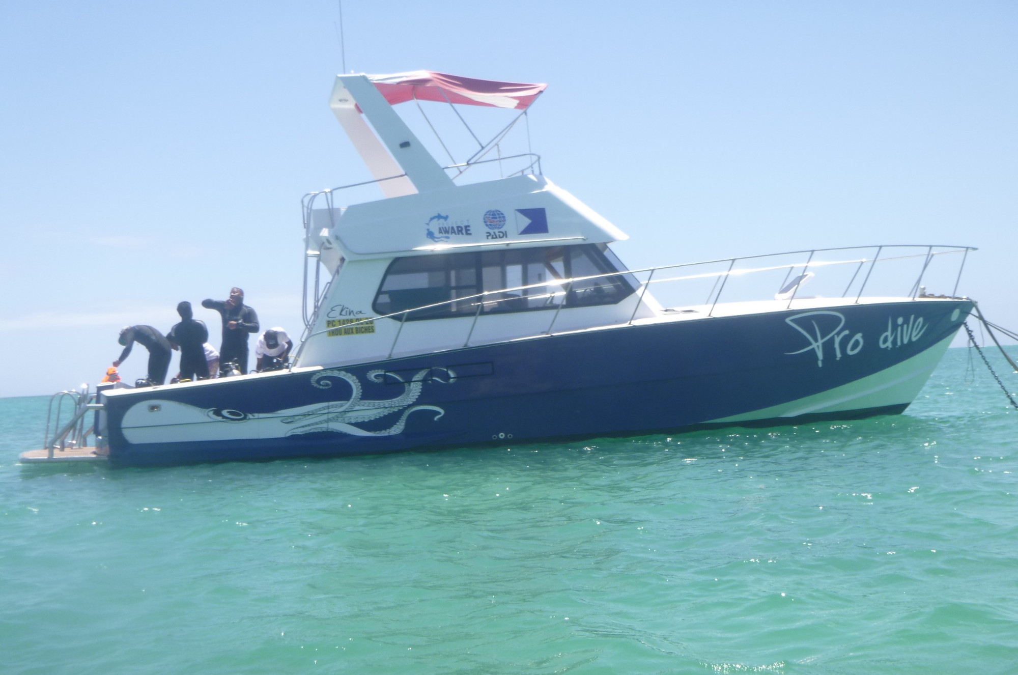 Hoppy Dive Site, Mauritius